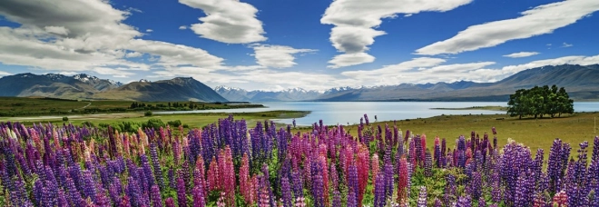 Sestavljanka 1000 kosov Jezero Tekapo