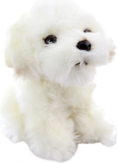 Realistični detajli ljubkega mladička