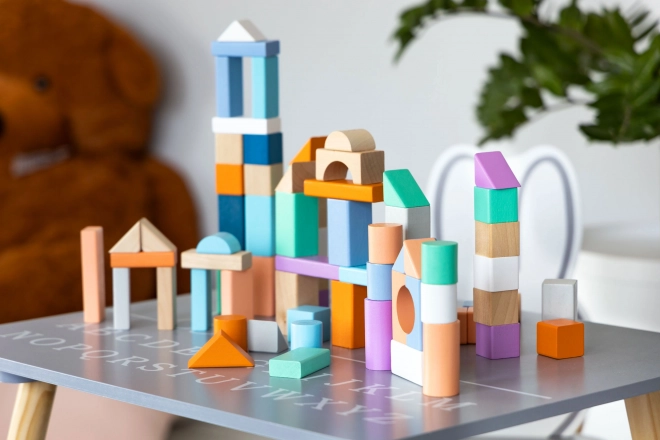 Lesene kocke 100 kosov v vedru s sortirnikom Ecotoys