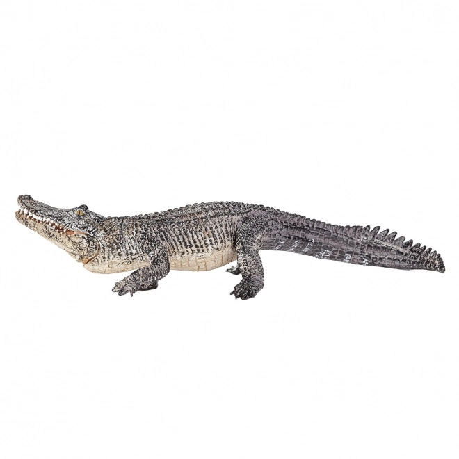 Mojo Živalski planet Aligator