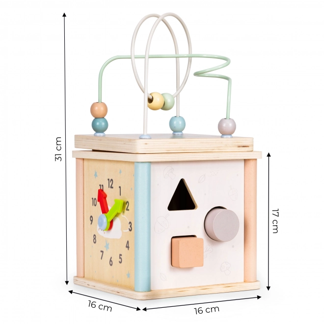 Lesene izobraževalne kocke Ecotoys