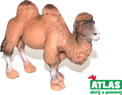 Figurica kamel 11 cm