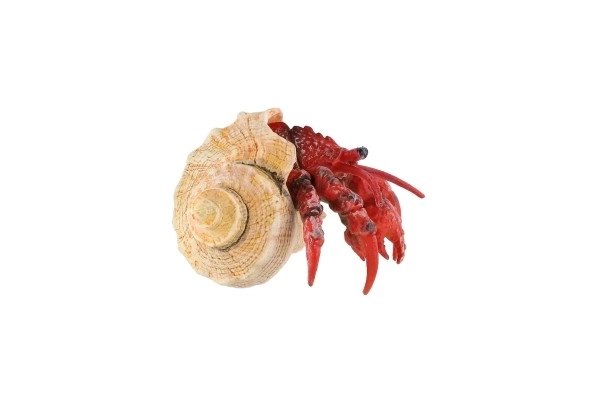 Plastični puščavski rak 7cm v vrečki