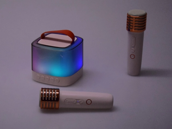 Mikrofon z brezžičnim zvočnikom in Bluetooth