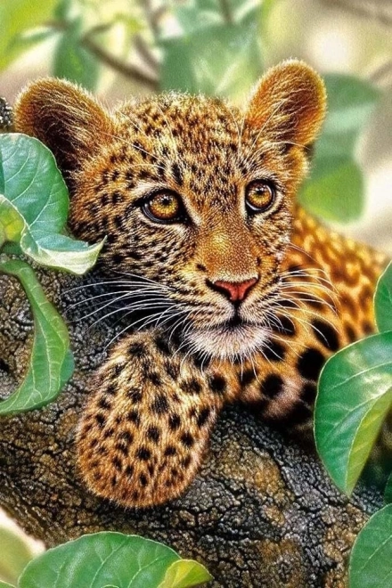 Set za diamantno slikanje - leopard