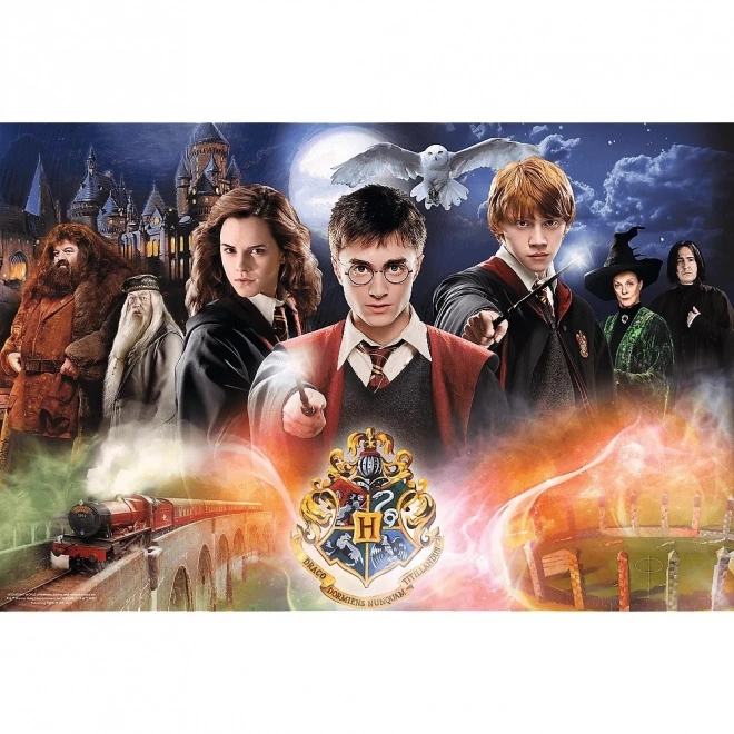 Skrivnostni Harry Potter puzzle 300 kosov