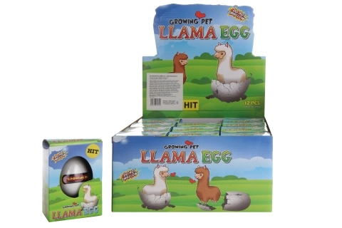 Jajce Lama 12/kos