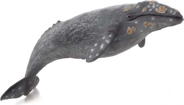 Realistična figurica sivi kit grbavec