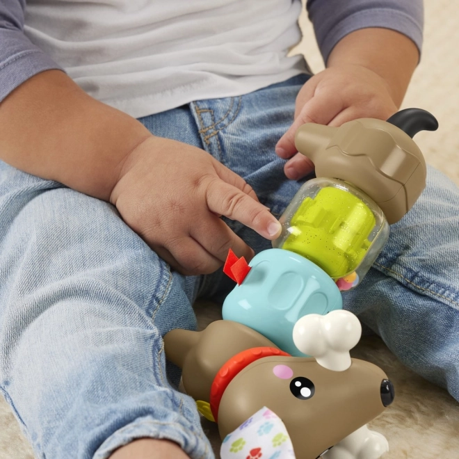 Fisher Price Rasleča in klapajoča jazbečarka HTW91