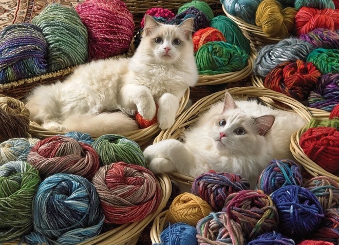 Sestavljanka Mačka Ragdoll 1000 kosov Cobble Hill