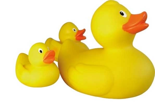 Vesela Lena Račka Družina