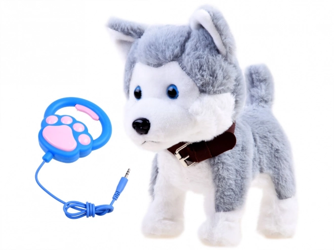 Interaktivni Husky pes na povodcu