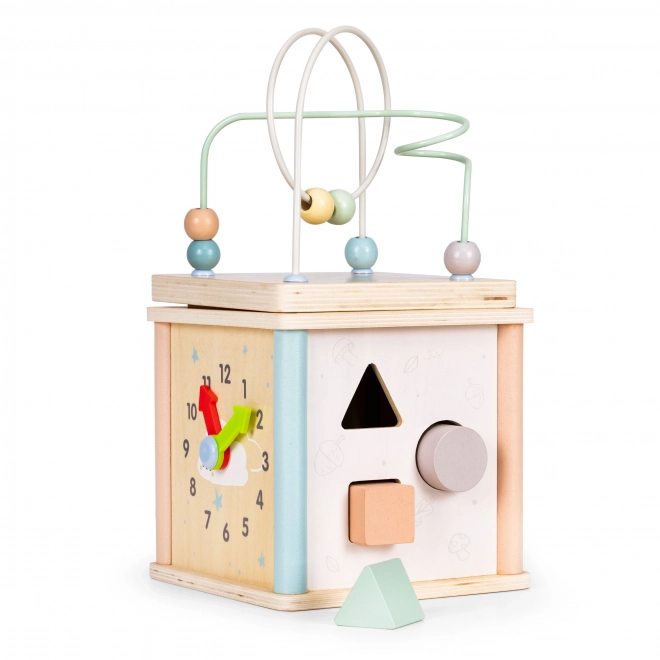 Lesene izobraževalne kocke Ecotoys