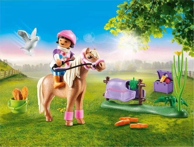 PLAYMOBIL® Country 70514 Zbirateljski islandski poni