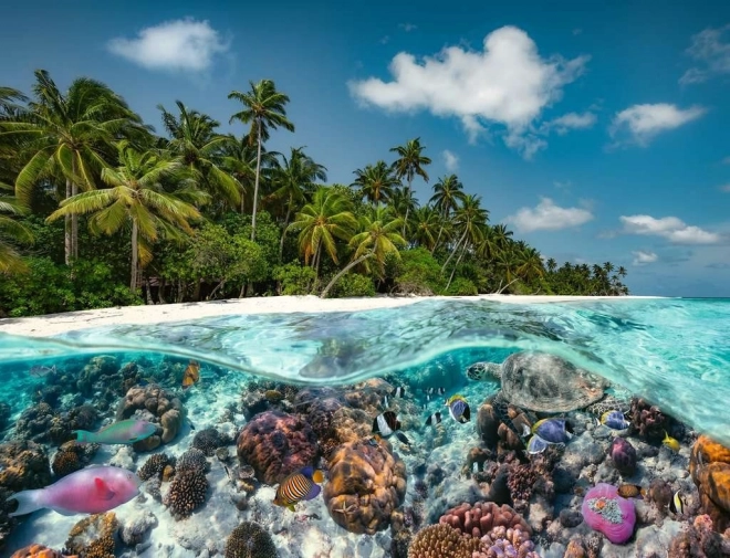 Sestavljanka Potapljanje na Maldivih