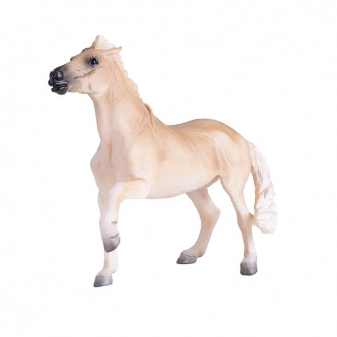 Mojo Konj Brumby Mare