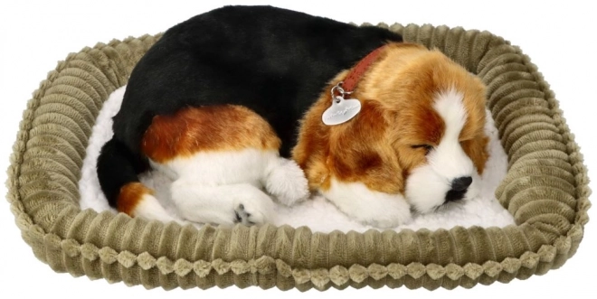 Dihajoči mladiček Beagle Perfect Petzzz