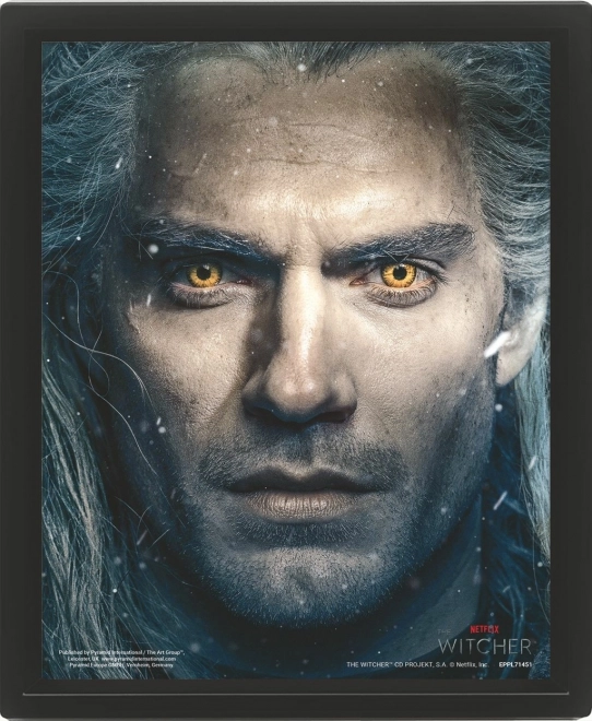 3D slika The Witcher 2