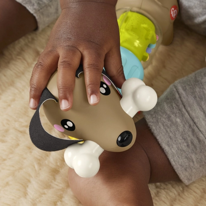 Fisher Price Rasleča in klapajoča jazbečarka HTW91
