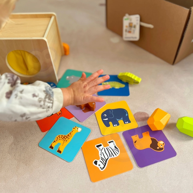 Izobraževalni Montessori Box za otroke v starosti 31-36 mesecev
