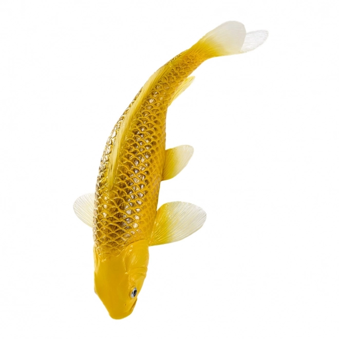 Mojo krap koi Matsuba