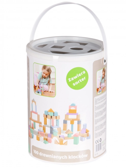 Lesene kocke 100 kosov v vedru s sortirnikom Ecotoys