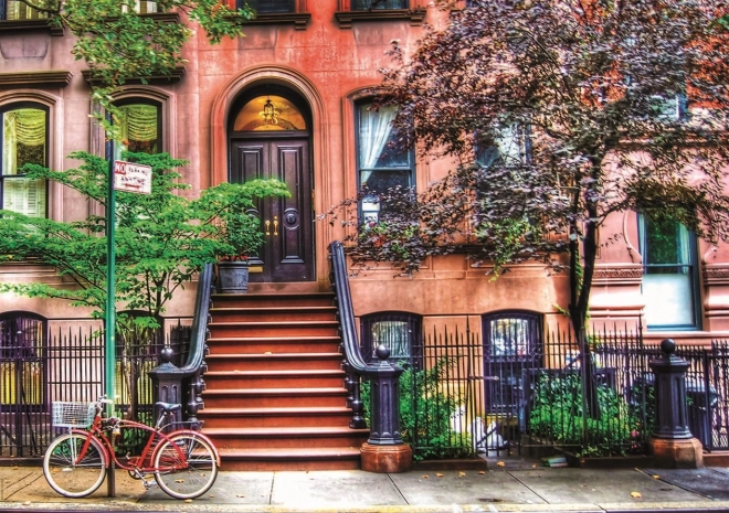 EDUCA puzzle Greenwich Village, New York 1500 kosov
