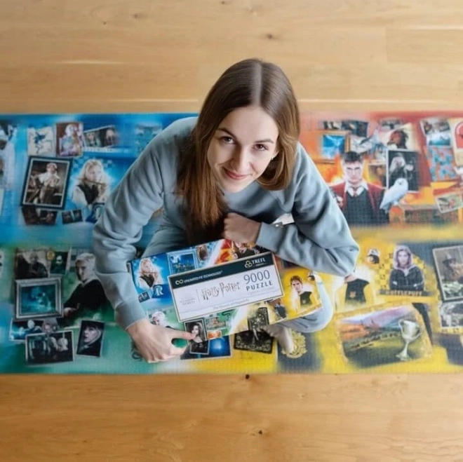 TREFL Puzzle UFT Harry Potter: Bradaviške hiše 9000 kosov