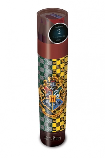 Barvice Harry Potter v etuiju
