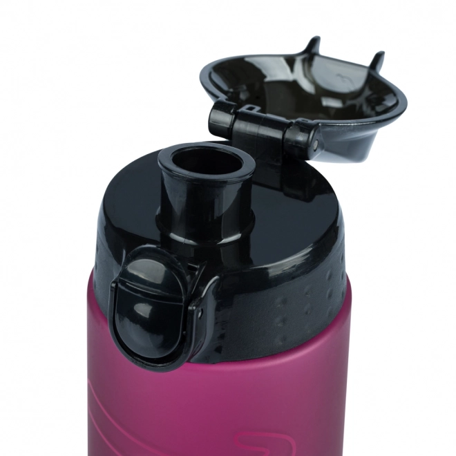 BAAGL Tritanova steklenica za pitje Ruby, 700 ml