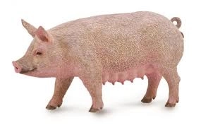 Prašička