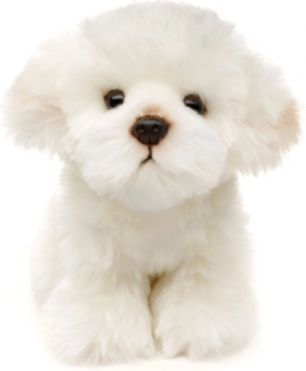 Okolju prijazna in varna izvedba