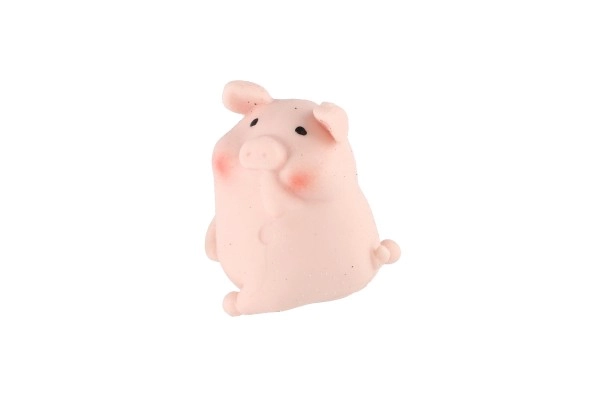 Kompaktna velikost