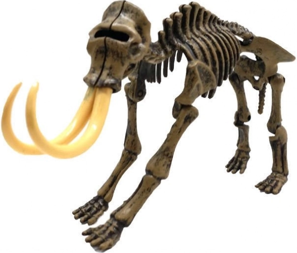 Realistično 3D okostje mamuta