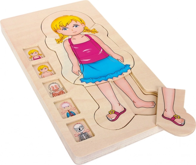 Small foot lesene slojevite puzzle anatomija