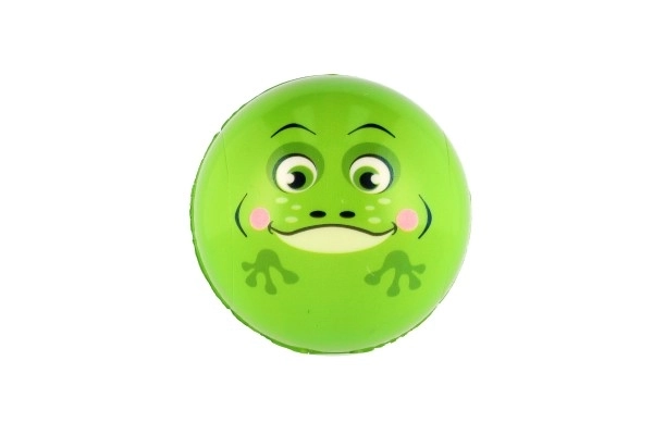 Norička žoga Ciky Caky 9 cm