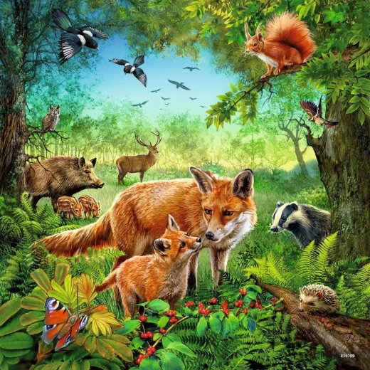 Žive barve in podrobne ilustracije