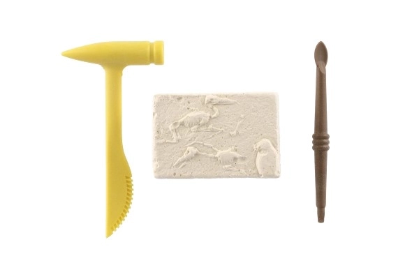 Mali arheolog dinozaver fosilije plast 2 barvi v blistru 12,5x19x5cm 12 kosov v škatli