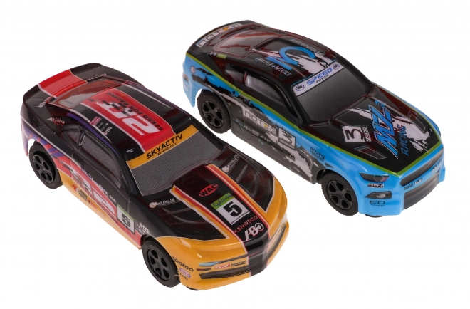 Velika dirkalna steza Racer 1:43