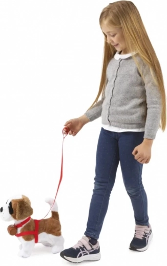 Hodi na povodcu in se odziva na plosk