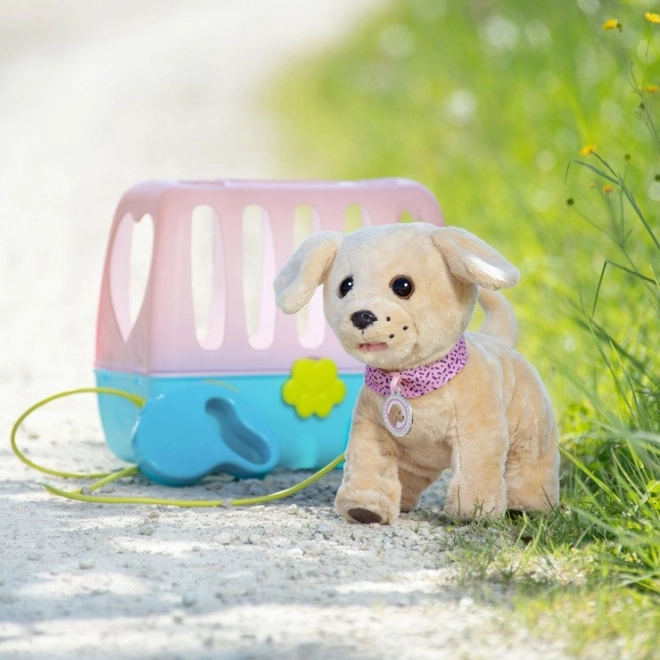 BABY born Moj veseli kužek s transportnim boksom