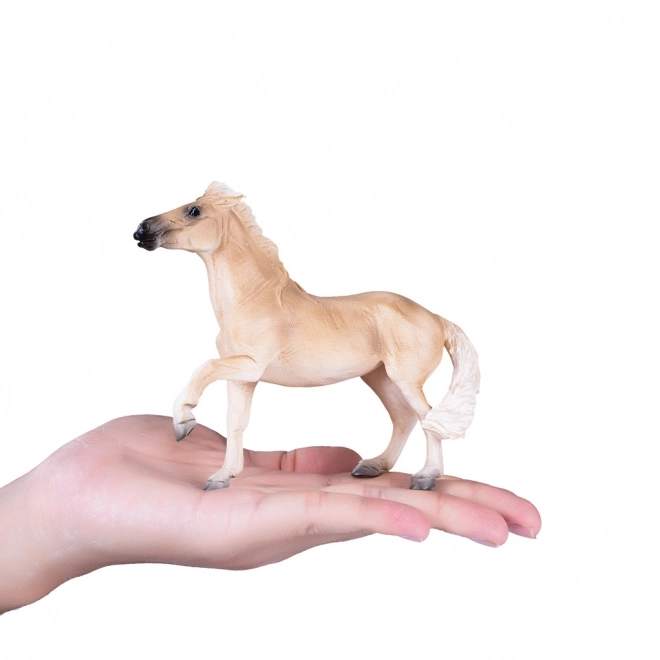 Mojo Konj Brumby Mare
