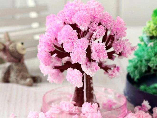 Čarobno drevo Sakura
