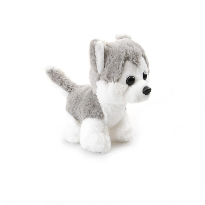 Plišasta igrača Husky - ljubček 17 cm