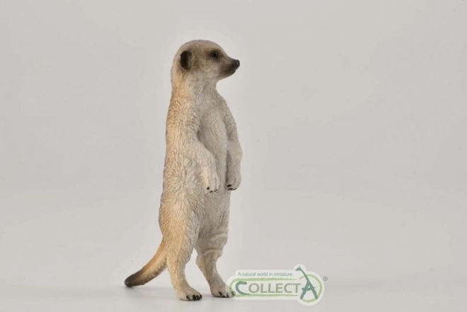 Collecta stoječa figurica surikate