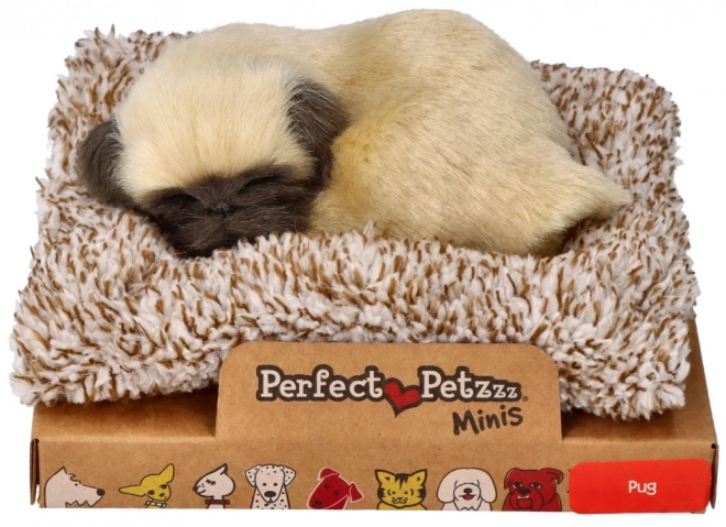 Ljubka psička mops Perfect Petzzz