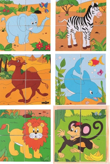 Zoo sestavljanka kocke