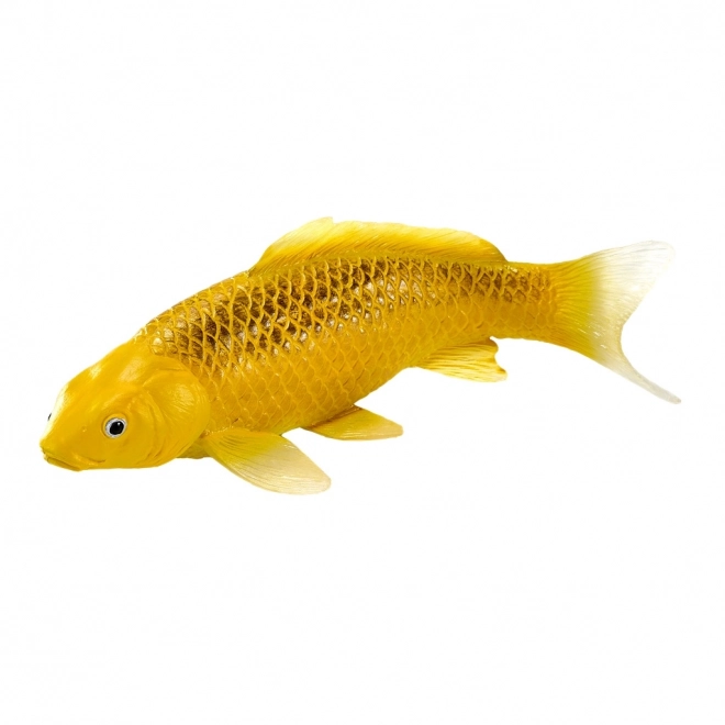 Mojo krap koi Matsuba