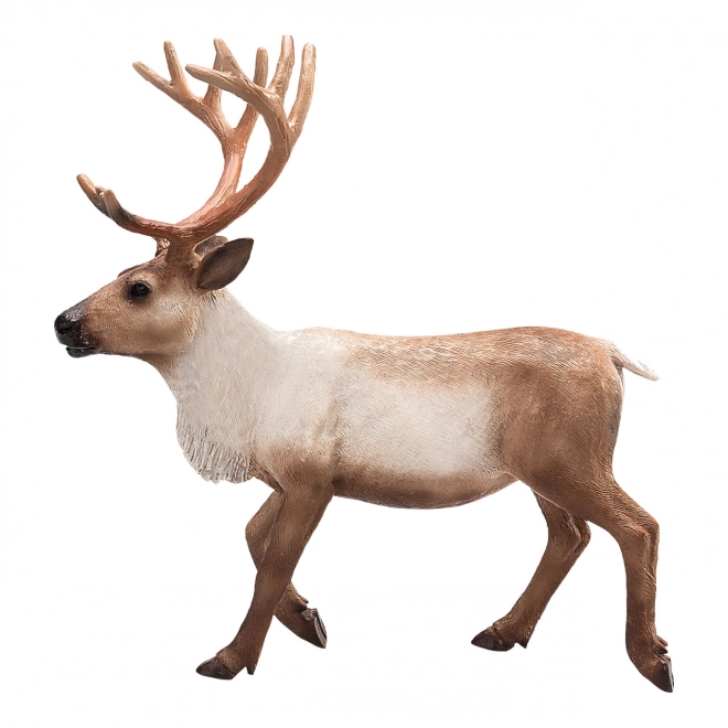 Mojo Animal Planet Pes