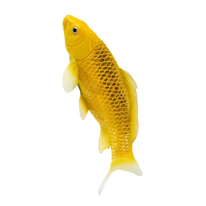 Mojo krap koi Matsuba